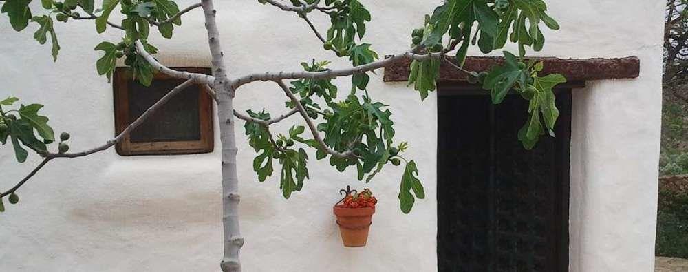 Hotel Rural Cortijo La Alberca Níjar Exterior foto